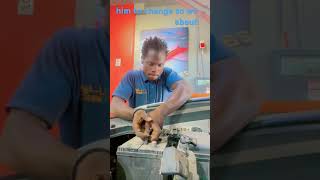 How to replace a new car battery mechanic batterychange shorts shortsvideo shortsviral [upl. by Lonna]