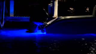 Tips from the Pros  Underwater Lights for Boats [upl. by Leaper]