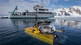 The Deepest Dive in Antarctica Reveals a Sea Floor Teeming With Life [upl. by Anwahsiek]