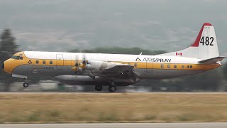 Lockheed L188 Electra Air Tanker 481 amp 482 Landing and Takeoff in 4K [upl. by Sucramed]