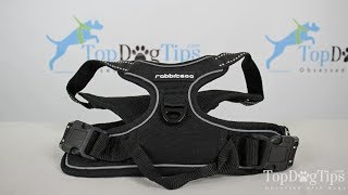 Rabitgoo No Pull Dog Harness Review [upl. by Nerland]