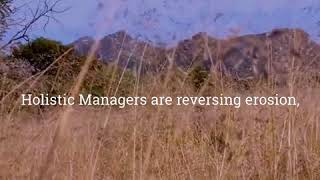 How Holistic Planned Grazing Works in 60 Seconds [upl. by Haisa]