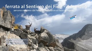 Ferrata al Sentiero dei Fiori “completo” dal Passo del Castellaccio al Passo di Pisgana Tonale [upl. by Ojybbob]