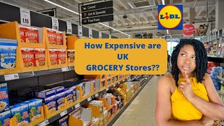 Food Prices at UK Supermarket  Lidl Grocery Haul [upl. by Elmira706]