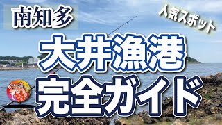 【大井】南知多人気スポット【大井漁港】駐車場、トイレあり。 [upl. by Ednihek275]