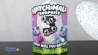 Hatchimals Surprise from Spin Master [upl. by Yduj]