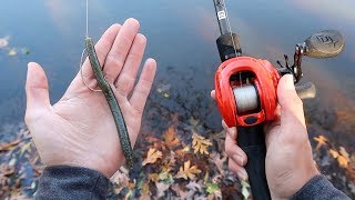 Catch MORE Bass This WINTER Bass Fishing Tips [upl. by Emyle]