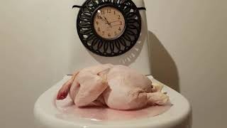 SLAPPING A Chicken For 10 Hours [upl. by Edia]