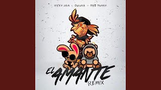 El Amante Remix [upl. by Olney]