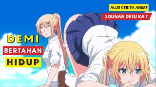 Terdampar Di Pulau Tak Berpenghuni  Alur Cerita Anime Sounan Desu Ka [upl. by Jair28]