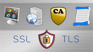 Key Players of SSL amp TLS Client Server Certificate Authority CA  Practical TLS [upl. by Pacificas]