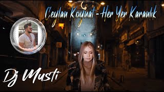 Her Yer Karanlık roman havası ritim 2021 CEYLAN KOYNAT FEAT DJ MUSTİ [upl. by Mable106]