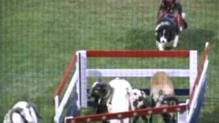 Team Ghost Riders Perform at a RailCats Game [upl. by Stephani185]