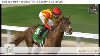 Red Sea Turf Handicap 2025 [upl. by Badr]