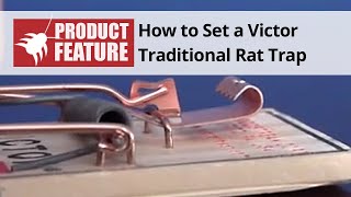 How to Set a Victor Traditional Mouse Trap  DoMyOwncom [upl. by Miriam]