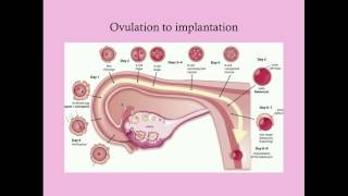 Fundamentals of Pregnancy  CRASH Medical Review Series [upl. by Crabb35]