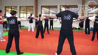 Cours de Kung Fu Traditionnel [upl. by Punak]