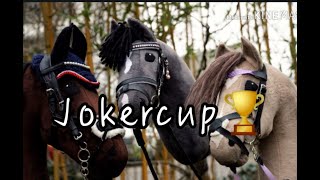 Jokercup🏆 HobbyhorseTurnier  hobbyhorsingde [upl. by Florida323]