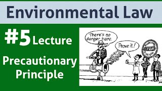 Environmental Law Lecture 5Precautionary Principle [upl. by Yrogiarc]