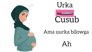 calamadaha uurka cusub Ama bilowga ah [upl. by Kalmick]