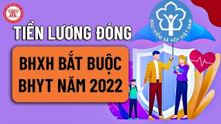 Tiền Lương Đóng BHXH Bắt Buộc BHYT Năm 2022  TVPL [upl. by Sumerlin]