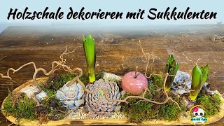 Holzschale dekorieren mit Sukkulenten  Frühlingsdeko selber machen [upl. by Aihsiym]