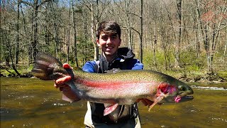 Sight Fishing Rainbow Trout Through The Ice [upl. by Jenine]