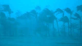 12 Hours inside a Category 5 HurricaneRain amp Thunder Sounds for SleepLock the Door amp Go SleepASMR [upl. by Cychosz]