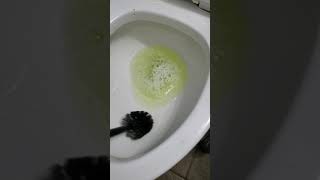 Cleaning toilet with CLR [upl. by Cody]