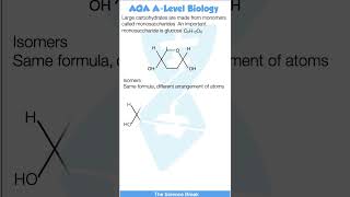 AQA A Level Biology  Biological Molecules  Glucose and Isomers [upl. by Maxentia]