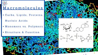 Biology 101 BSC1010 Chapter 5  The Structure and Function of Large Biological Molecules [upl. by Dnana286]