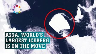 Worlds largest iceberg breaks free [upl. by Lizbeth]