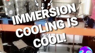 DIY Immersion Cooling Crypto Mining S17 [upl. by Cardie]