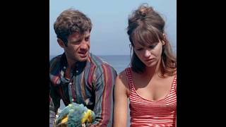 Pierrot le fou edit 1965 shorts edit movie [upl. by Styles]