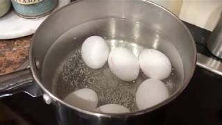 How to Cook Perfect Hard Boiled Eggs [upl. by Nnyliram548]