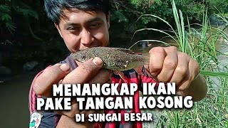 Mudahnya Menangkap Ikan Pake Tangan Kosong [upl. by Atineb]