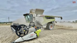 510 Bu CLAAS 8600 Lexion Combine [upl. by Bancroft]