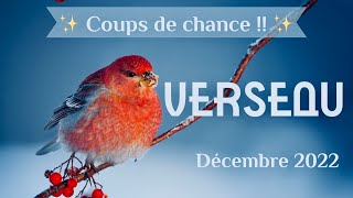 VERSEAU DECEMBRE 2022 ✨Coups de chance [upl. by Abana]