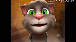 Cat comedy video amp Billi ki Comedy Cat comedy talking tom hindi video  Make joke [upl. by Mcginnis]