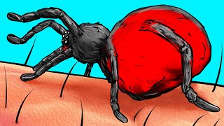 O Que Acontece Com Seu Corpo Quando É Picado Por Uma Aranha [upl. by Aderf]