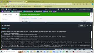 Amazon Kinesis Data Stream Lab [upl. by Enirehtahc]