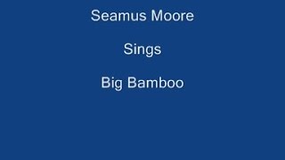 Big Bamboo  On Screen Lyrics  Seamus Moore [upl. by Irtimed]