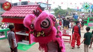 BARONGSAI 2022 di kota Sintang [upl. by Jankell]