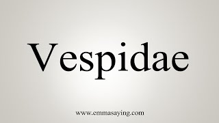 How To Say Vespidae [upl. by Hedges]