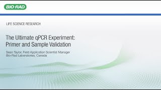 Tutorial Video Ultimate qPCR Primer and Sample Validation 4 of 7 [upl. by Ecela]