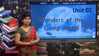 Grade 06  Science English Medium  Warders of the Living World  P 10 [upl. by Eerehc]