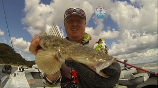 Catching Flathead in Hervey Bay  Fishing [upl. by Naihtniroc606]