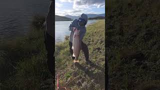 My Record Breaking Catch  Twizel Canal  Salmon Fishing [upl. by Baerman825]