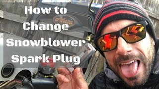 How to Change Ariens Snowblower Spark Plug [upl. by Reisfield]