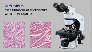 CX23 ll Trinocular Microscope ll Olyumpus ll HDMI Camera ll Full explain ll Medlab Solutions ll 2024 [upl. by Maillij650]